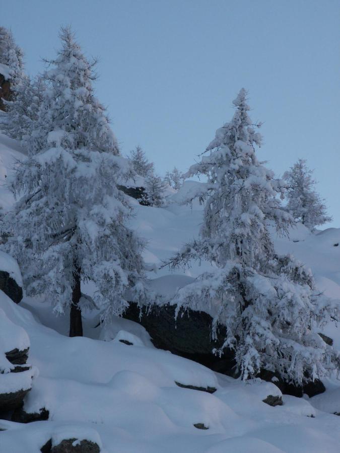 Haus Holiday Saas-Fee Exterior foto