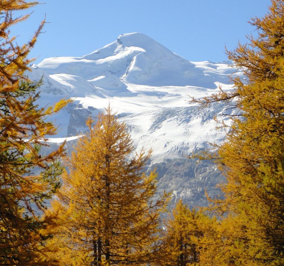 Haus Holiday Saas-Fee Exterior foto
